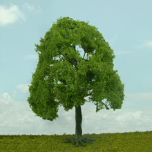 model trees